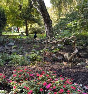 公园里有鲜花,还有一只鸟坐在地上