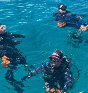 skupina lidí ve vodě s potápěčským vybavením