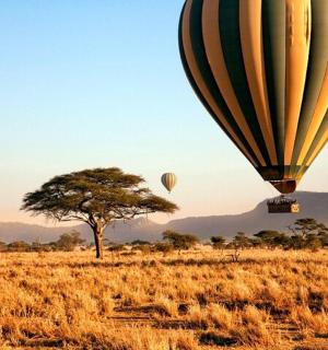 两个热气球飞过一片有树的田野