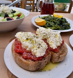 talíř jídla se sendvičem a salátem