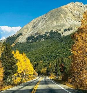一条空旷的道路，两旁有黄色的树木和一座山