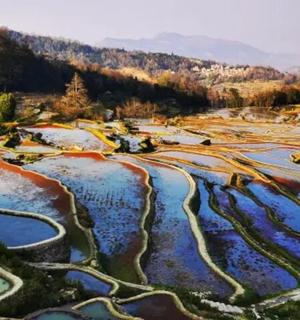 an aerial view of a terraced field with water