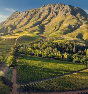 鸟瞰山峦与绿色田野和树木