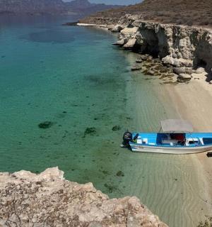 a blue boat sitting on the shore of a beach
