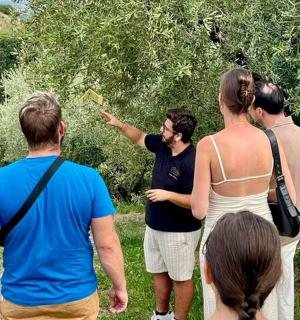 a group of people standing outside looking at a tree