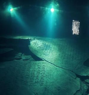 晚上在灯光下水中的人