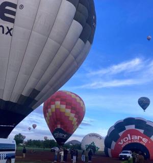 田野里的一群热气球