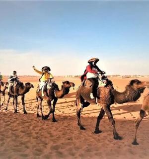 a group of people riding on camels in the desert