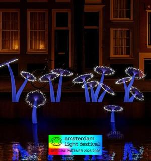 夜晚水中的一组紫色灯光