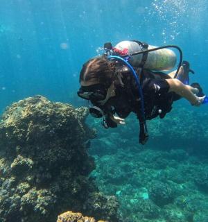 osoba nurkująca nad rafą koralową
