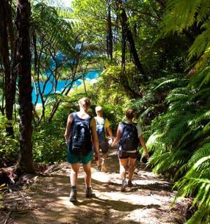 三个人沿着丛林小路行走