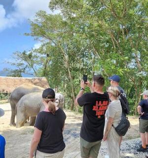 a group of people taking a picture of elephants