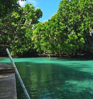 a ladder on a dock next to a body of water