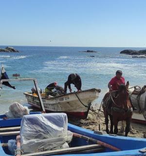 a person on a horse and a boat on the beach