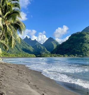 pláž s palmou, vodou a horami