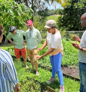 a group of people standing in a field looking at their cell phones