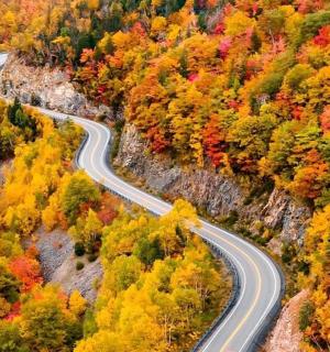 a winding road in the middle of a forest