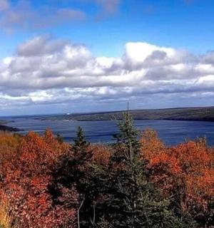 a view of a lake in the middle of a forest
