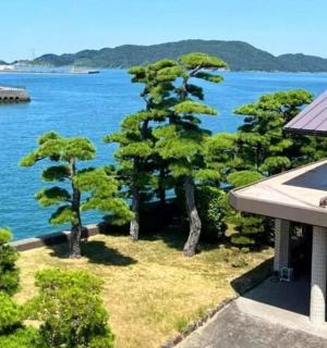 从房子里看到的水景