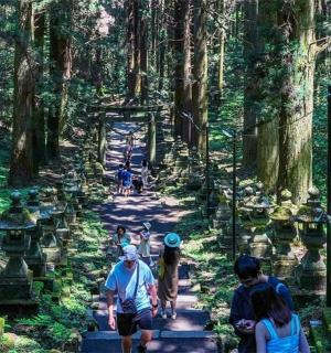 一群人穿过森林