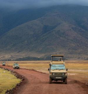 一群车辆沿着土路行驶