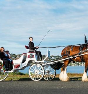 路上载着人的马车