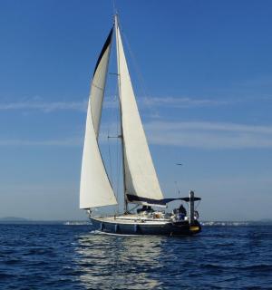 水中挂着白帆的船