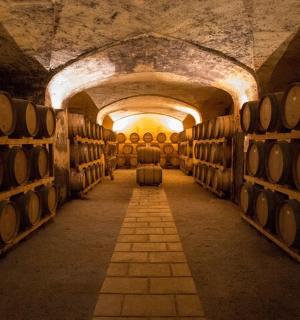 a room with a bunch of barrels in a wine cellar