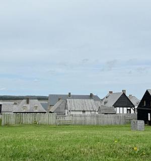 a group of houses and a field with a fence