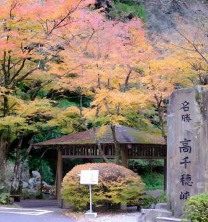en have med et lysthus og efterårstræer