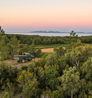 a truck parked in a field in the forest