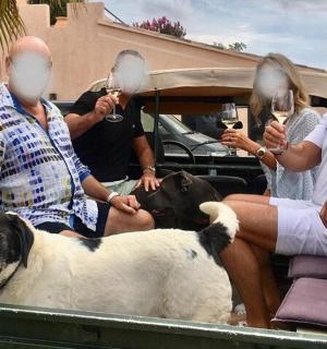 a group of people sitting in the back of a truck with a dog