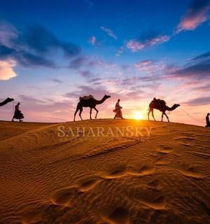 一群人骑着骆驼在沙漠中