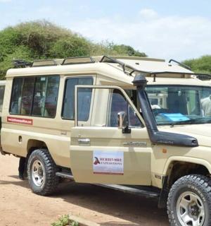 一辆棕色吉普车停在一辆公共汽车旁边