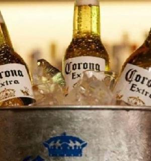 two bottles of corona beer in a bucket