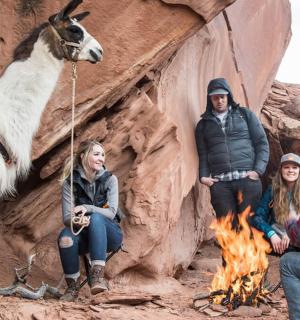 eine Gruppe von Menschen sitzt mit einem Lama um ein Feuer