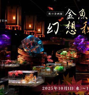 用灯光展示玻璃罐里的食物