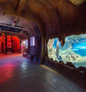 tunel s velkým akváriem v budově