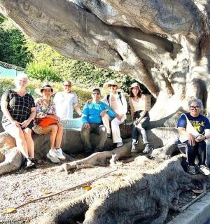 a group of people sitting in front of a tree