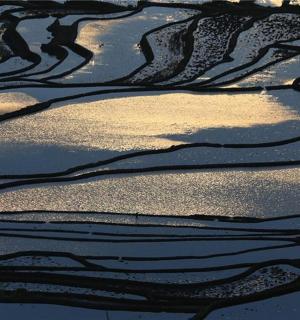 an aerial view of winding channels in the water