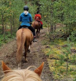 两个人骑马沿着土路行驶