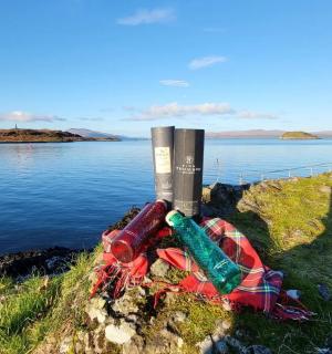 a group of wine bottles sitting on the grass near the water