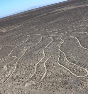 沙地上留下痕迹的田野的鸟瞰图