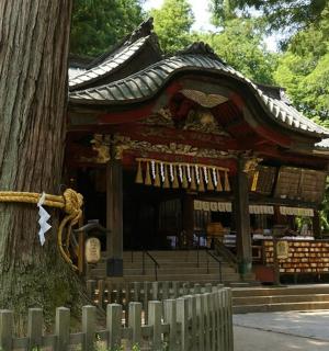 a tree in front of a building next to a tree
