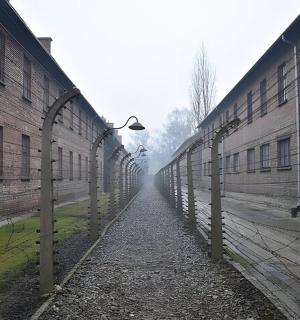 两栋砖砌建筑之间的一条空巷