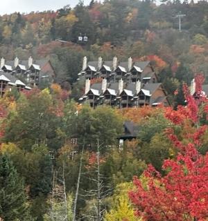 un grup de cases en un turó amb arbres