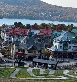 en luftfoto af en by med bygninger og en sø