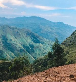 a view of auliculiculiculiculiculiculiculiculiculiculiculic