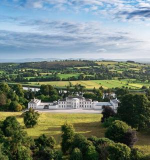 草地上豪宅的鸟瞰图