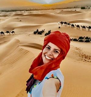 沙漠中的一位妇女和一群骆驼